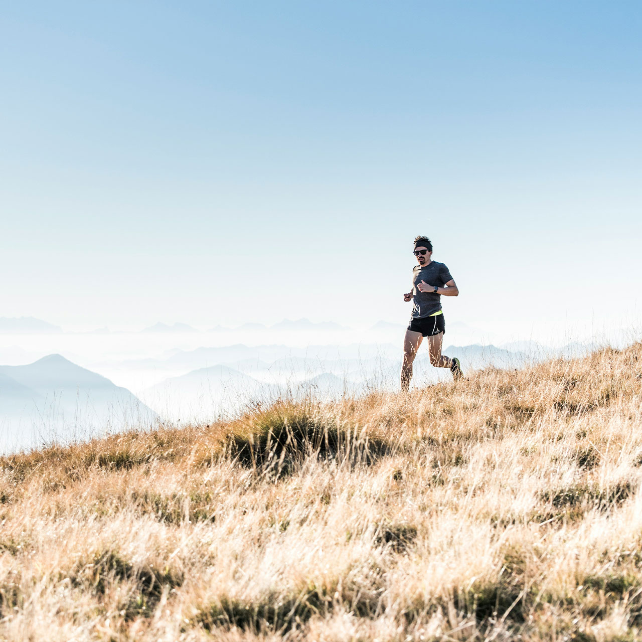 oboluckna-news-Traildays